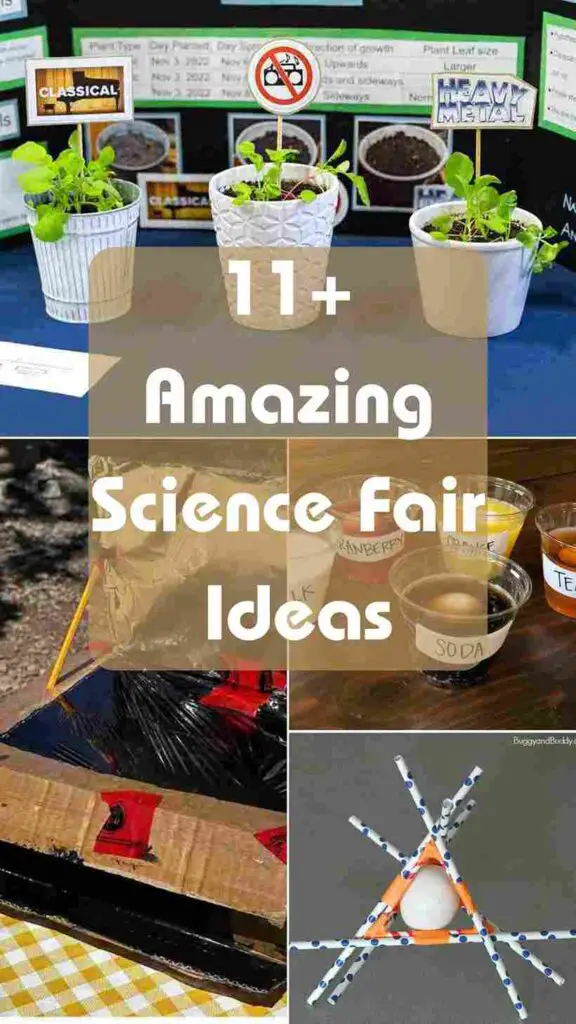 Science Fair Ideas